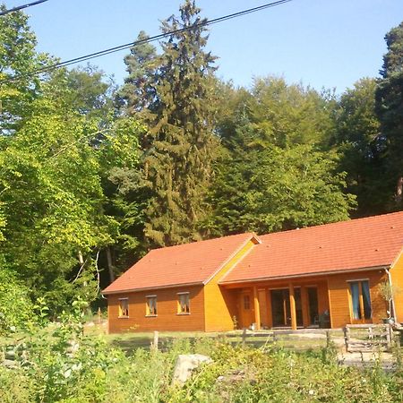 Vosges Chambres D'Hotes Jeanmenil Exteriér fotografie