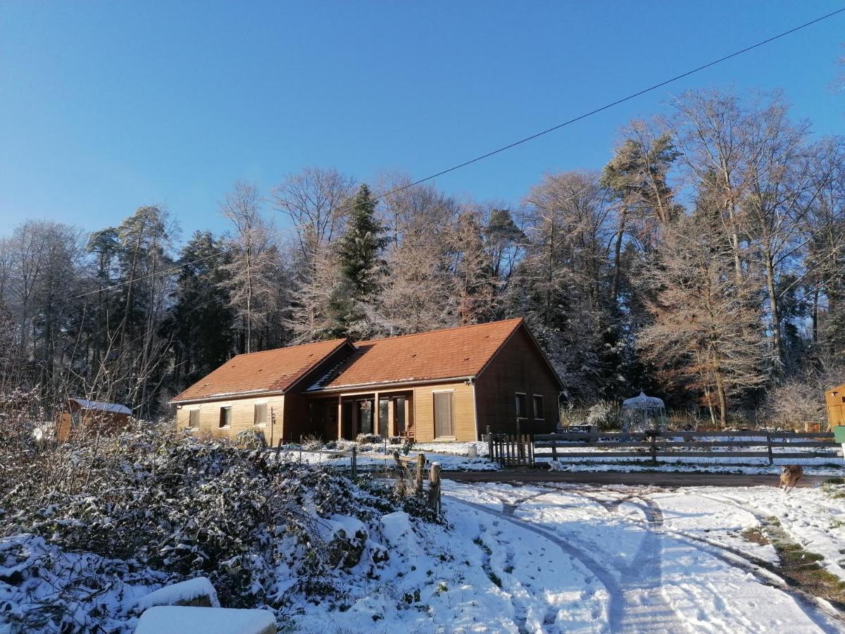 Vosges Chambres D'Hotes Jeanmenil Exteriér fotografie